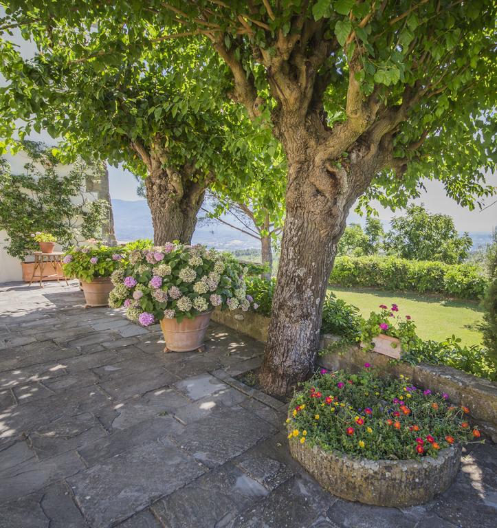 Campopineta Apartment Incisa in Val d'Arno Exterior photo