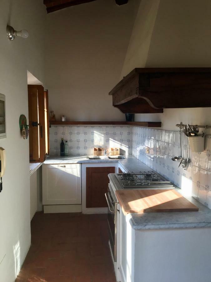 Campopineta Apartment Incisa in Val d'Arno Exterior photo